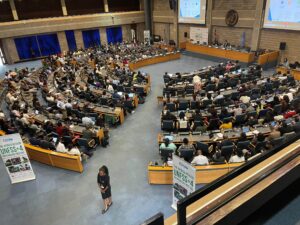 UNFSS+4 Conference